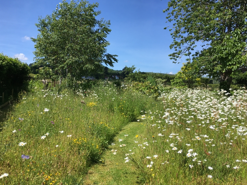 Bovey Tracey Gardens